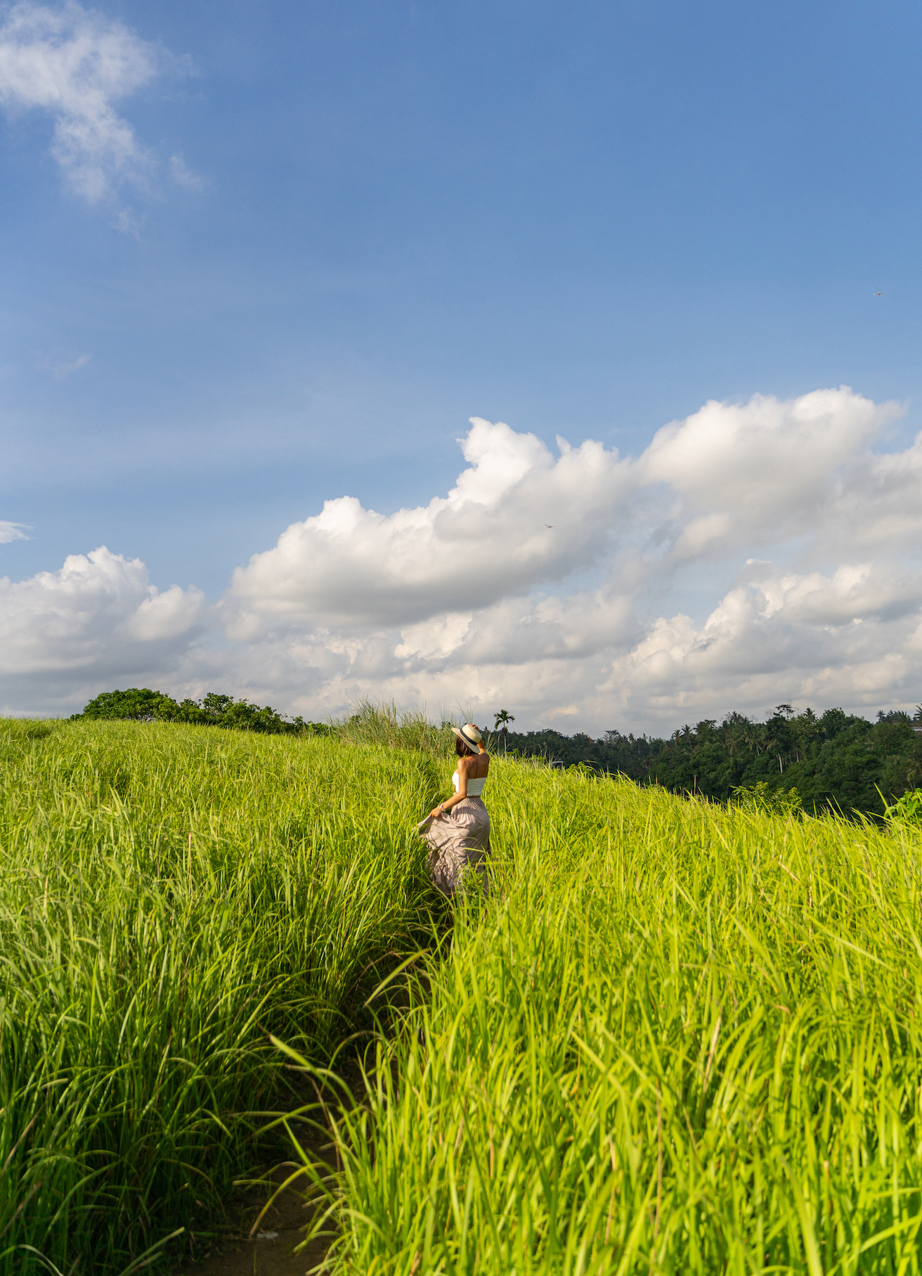 beautiful woman among green field stock photo 2023 11 27 04 50 50 utc 1